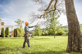 How Our Tree Care Process Works  in Rouse, CA